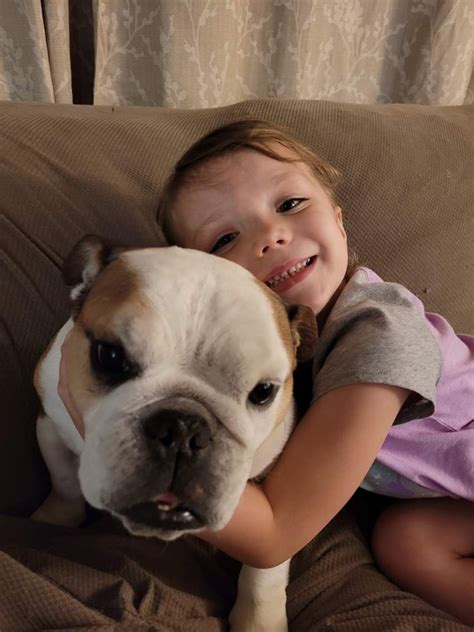 village vet of lewiston|village vet reviews.